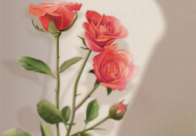 祝天下女神們節(jié)日快樂?。。? ></a>
                        <a href=